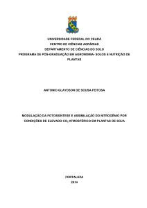 Dissertação N° 264 - Solos e Nutrição de Plantas / UFC