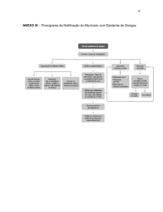 ANEXO IX – Fluxograma de Notificação do Município com Epidemia