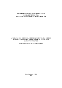 Avaliação dos efeitos da eletroquimioterapia sobre o