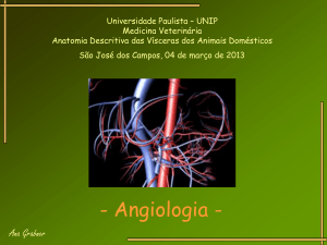 3-aparelho-circulatorio-angiologia-ana