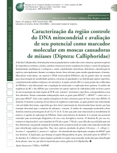 Caracterização da região controle do DNA mitocondrial e avaliação