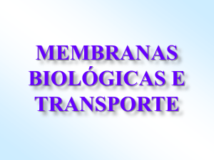 aula 7 - membranas biologicas e transporte