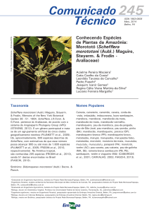 Schefflera morototoni (Aubl.) - Infoteca-e