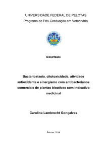 Bacteriostasia, citotoxidade, atividades antioxidante e sinergismo