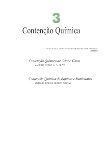 Contenção Química de Cães e Gatos