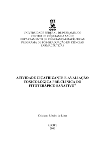 Atividade cicatrizante e avaliação toxicológica pré-clínica