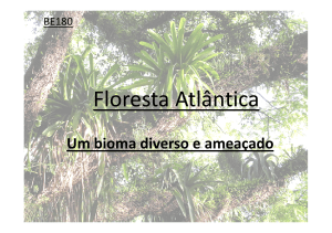 Floresta Atlântica