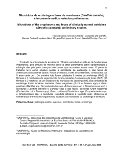 Microbiota da orofaringe e fezes de avestruzes