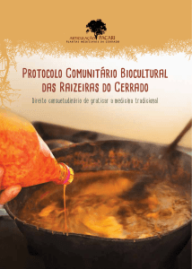 Protocolo Comunitário Biocultural das Raizeiras do Cerrado