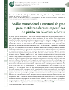 Análise transcricional e estrutural do gene para metiltransferases