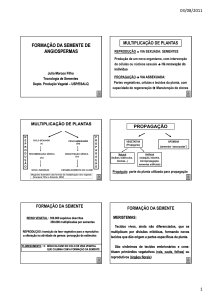 formação da semente de angiospermas - Esalq