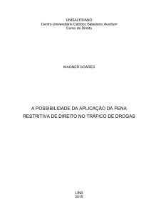 a possibilidade da aplicação da pena restritiva de