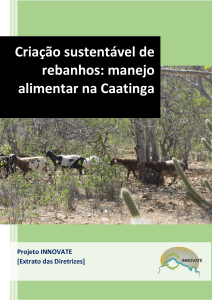 Criação sustentável de rebanhos: manejo alimentar na Caatinga