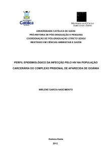 PERFIL EPIDEMIOLÓGICO DA INFECÇÃO PELO HIV NA