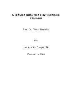 Evolução Temporal e Integral Funcional em Mecânica