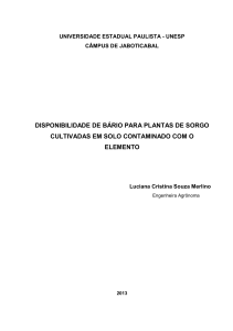 DISPONIBILIDADE DE BÁRIO PARA PLANTAS DE SORGO