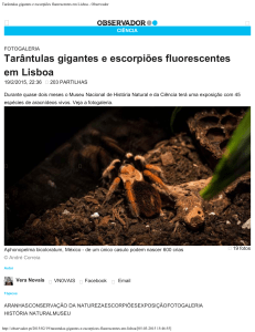 Tarântulas gigantes e escorpiões fluorescentes em Lisboa