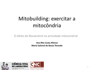 Mitobuilding: exercitar a mitocôndria