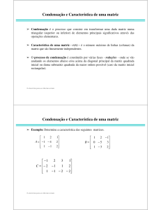 Condensação e Característica de uma matriz Condensação e
