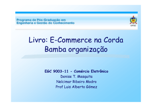 Livro: E-Commerce na Corda Bamba organização