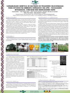 Variabilidade Genética de Matrizes de Pequizeiro Selecionadas