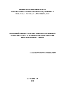 Sensibilização cruzada entre anfetamina e nicotina: avaliação