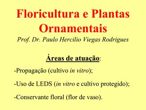 Floricultura e Plantas Ornamentais