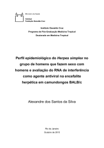 Perfil epidemiológico do Herpes simplex no grupo - Arca