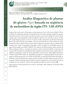 Análise filogenética de plantas do gênero Piper baseada na