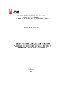 Desempenho de Linhagens de Feijoeiro Preto sob