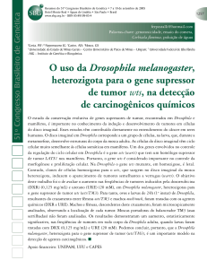 O uso da Drosophila melanogaster, heterozigota para o gene