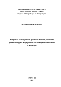 Respostas fisiológicas de goiabeira `Paluma` parasitada por