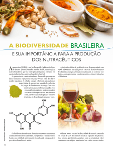 a biodiversidade brasileira e sua importância