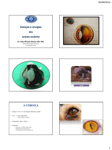 Doenças e cirurgias dos anexos oculares