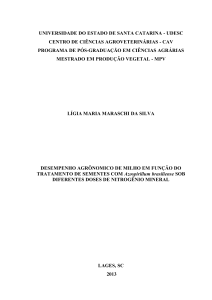 DESEMPENHO AGRÔNOMICO DE MILHO EM FUNÇÃO DO