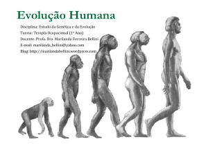 EVOLU&Ccedil;&Atilde;O EVOLU&Ccedil;&Atilde;O HUMANA - Marilanda Bellini