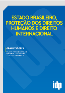 Estado Brasileiro, Proteção dos Direitos Humanos e Direito