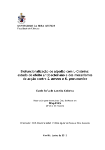 Dissertação de mestrado_Estela Caldeira