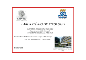 LABORATÓRIO DE VIROLOGIA-UFBA: A história do zika no Brasil