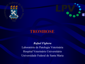 Trombose - Rafael Fighera