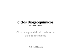 Ciclos Biogeoquímicos Biogeoquímicos