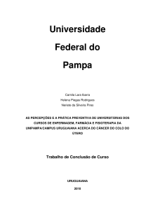 Universidade Federal do Pampa