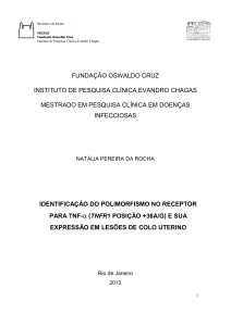 fundação oswaldo cruz instituto de pesquisa clínica evandro chagas