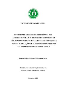 Tese PDF final - RUN - Universidade NOVA de Lisboa