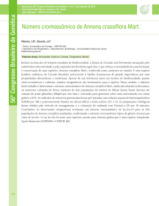 Número cromossômico de Annona crassiflora Mart. 56º Congresso