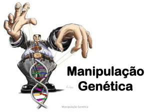 Manipulação Genética