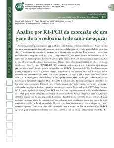 Análise por RT-PCR da expressão de um gene de tiorredoxina h de