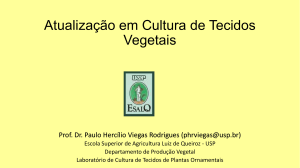 Introdução a Cultura de Tecidos Vegetais - Esalq