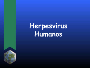 Herpesvírus Humanos