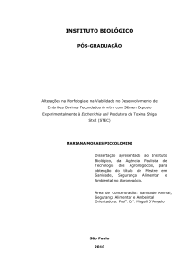 Dissertação de Mariana Moraes Piccolomini